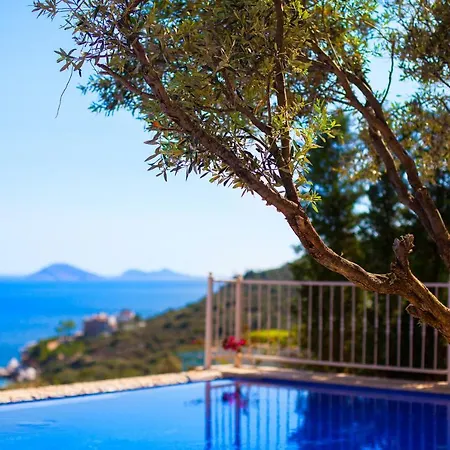 Villa Eco Seleny *