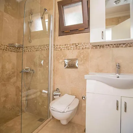 Villa Eco Seleny